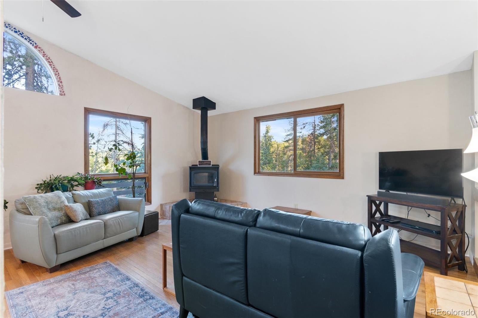 MLS Image #14 for 9941  apache spring drive,conifer, Colorado