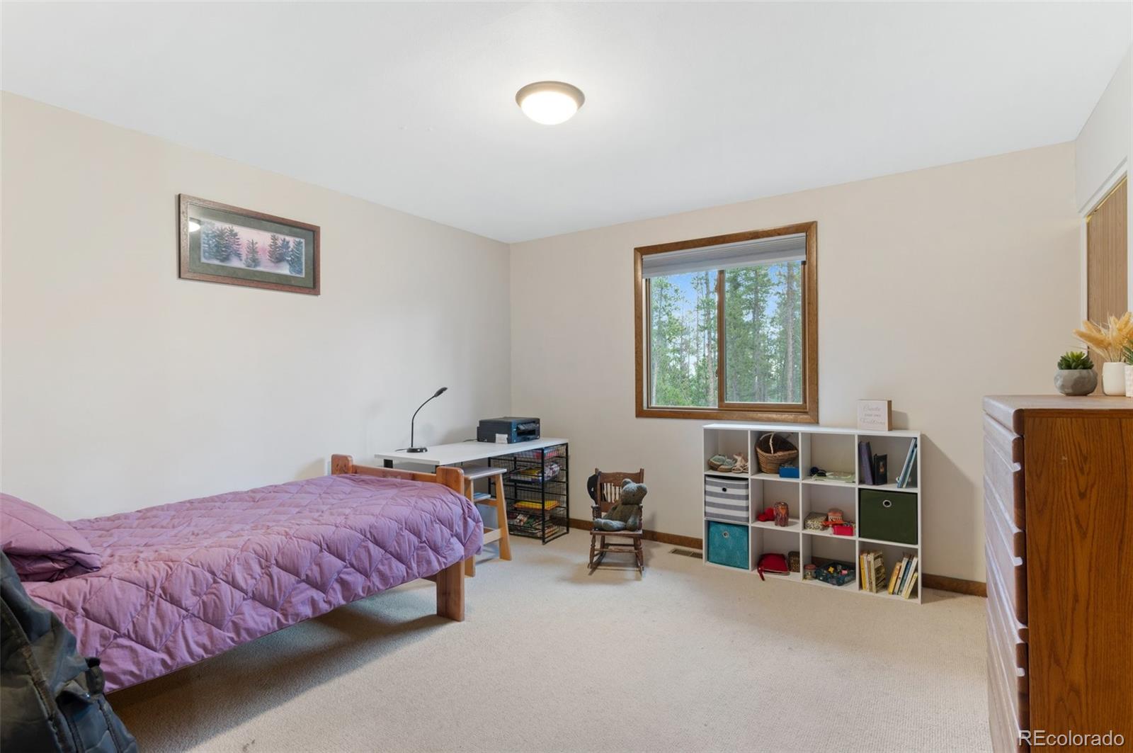 MLS Image #29 for 9941  apache spring drive,conifer, Colorado