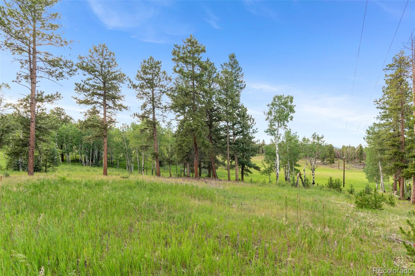 MLS Image #41 for 9941  apache spring drive,conifer, Colorado