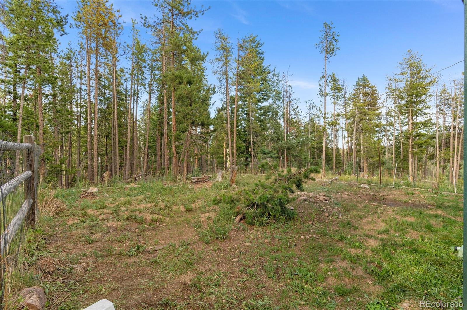 MLS Image #6 for 9941  apache spring drive,conifer, Colorado