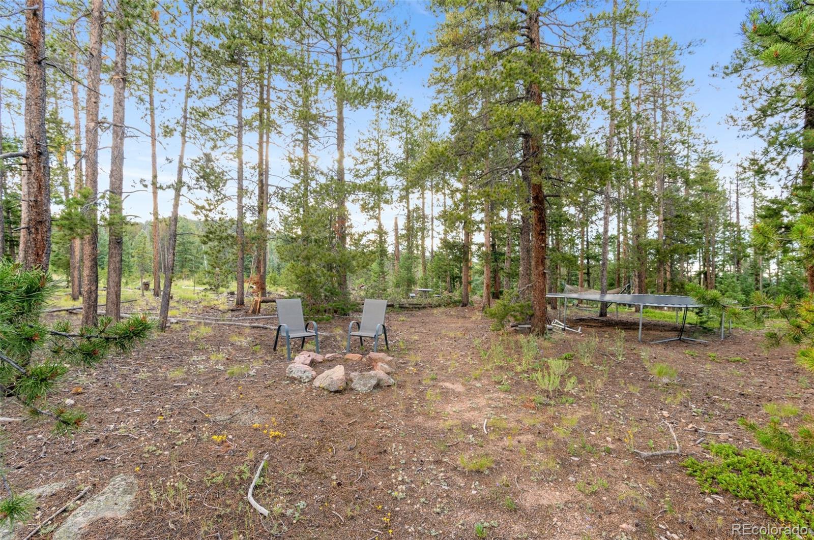 MLS Image #7 for 9941  apache spring drive,conifer, Colorado