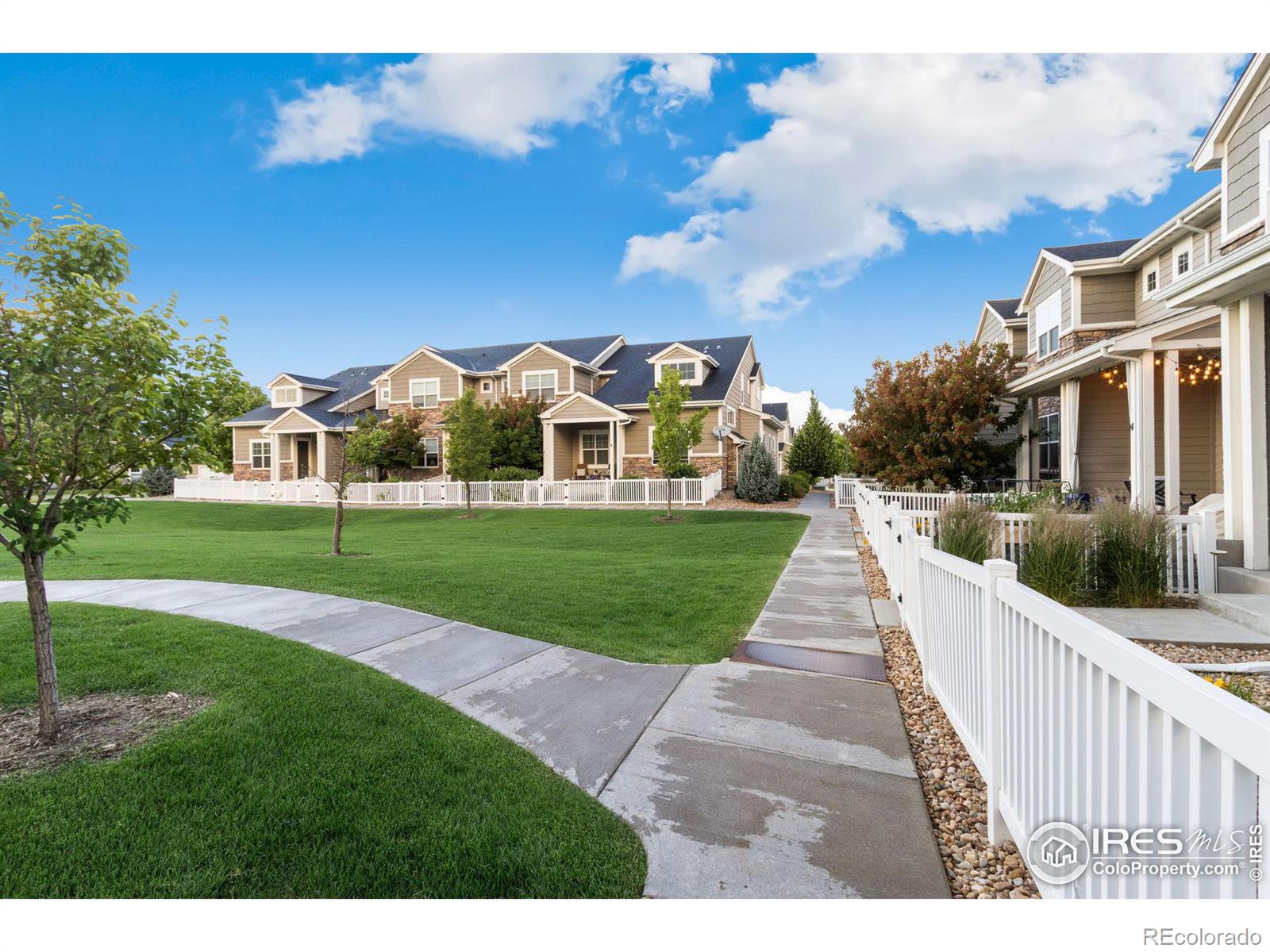 MLS Image #6 for 2163  montauk lane,windsor, Colorado