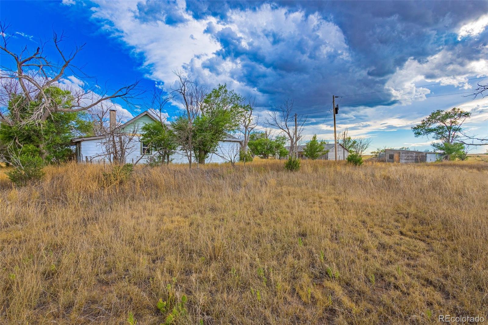 MLS Image #12 for 38355  shear road,yoder, Colorado