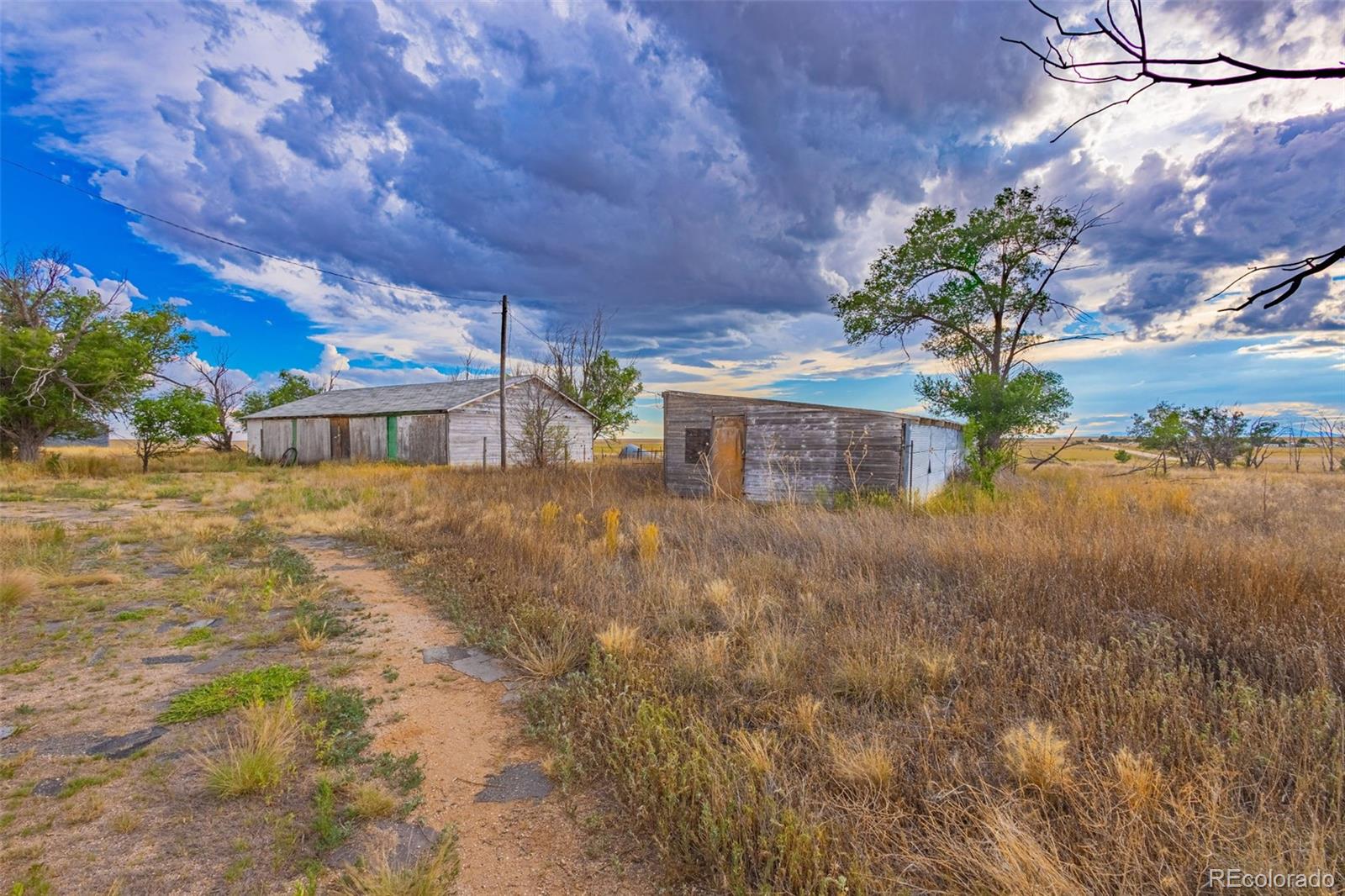 MLS Image #13 for 38355  shear road,yoder, Colorado