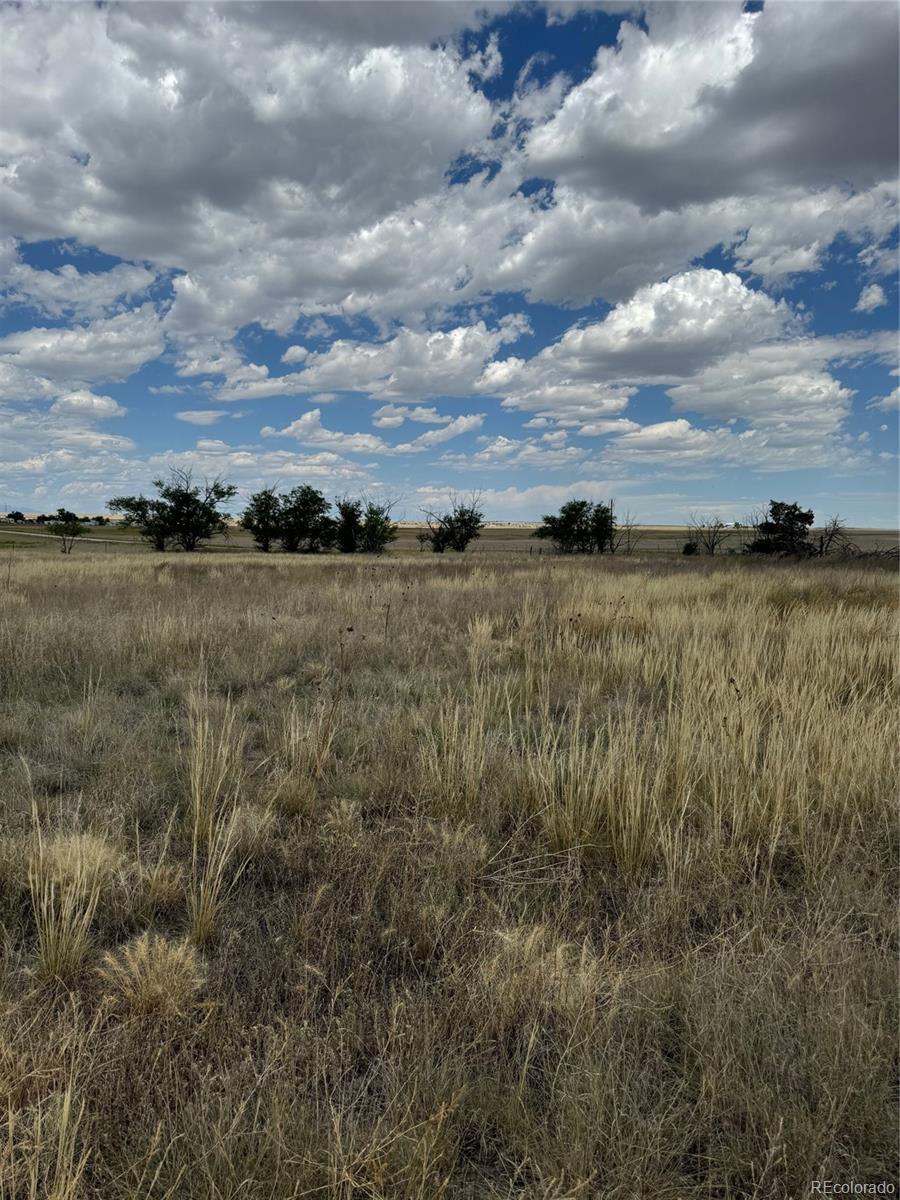 MLS Image #31 for 38355  shear road,yoder, Colorado