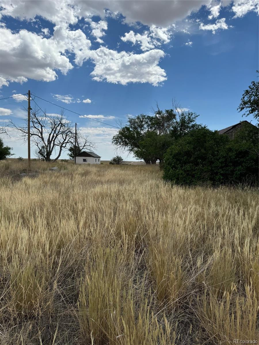 MLS Image #34 for 38355  shear road,yoder, Colorado