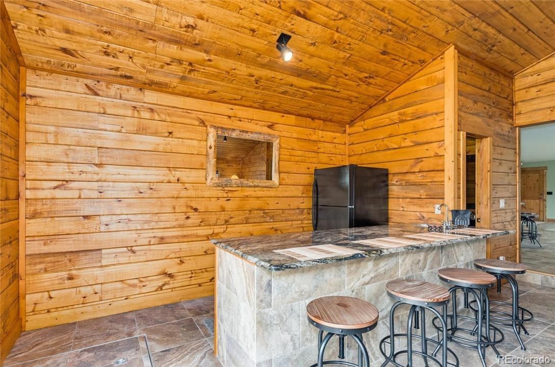 MLS Image #12 for 115  county road 1014 ,silverthorne, Colorado