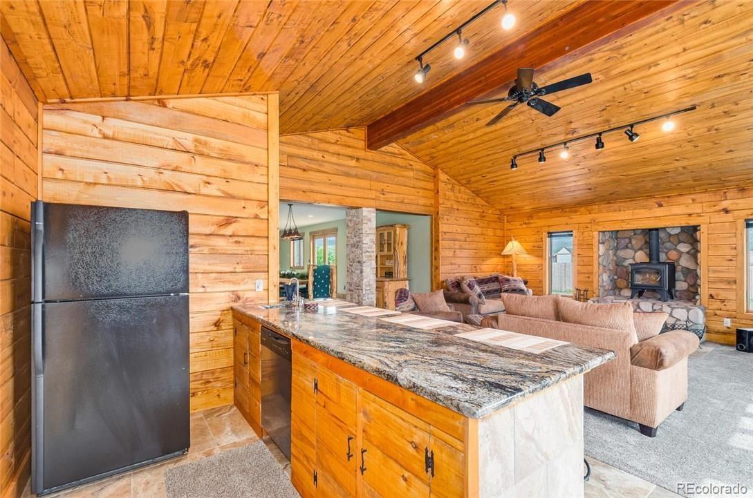 MLS Image #9 for 115  county road 1014 ,silverthorne, Colorado