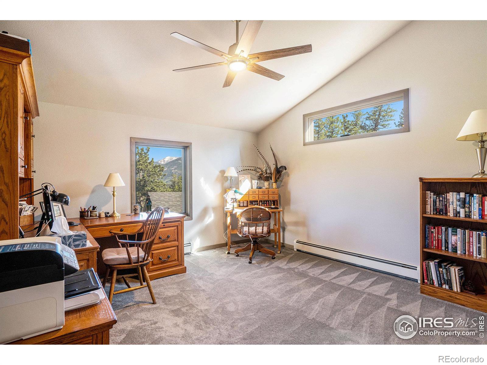 MLS Image #22 for 1500  prospect mountain drive,estes park, Colorado