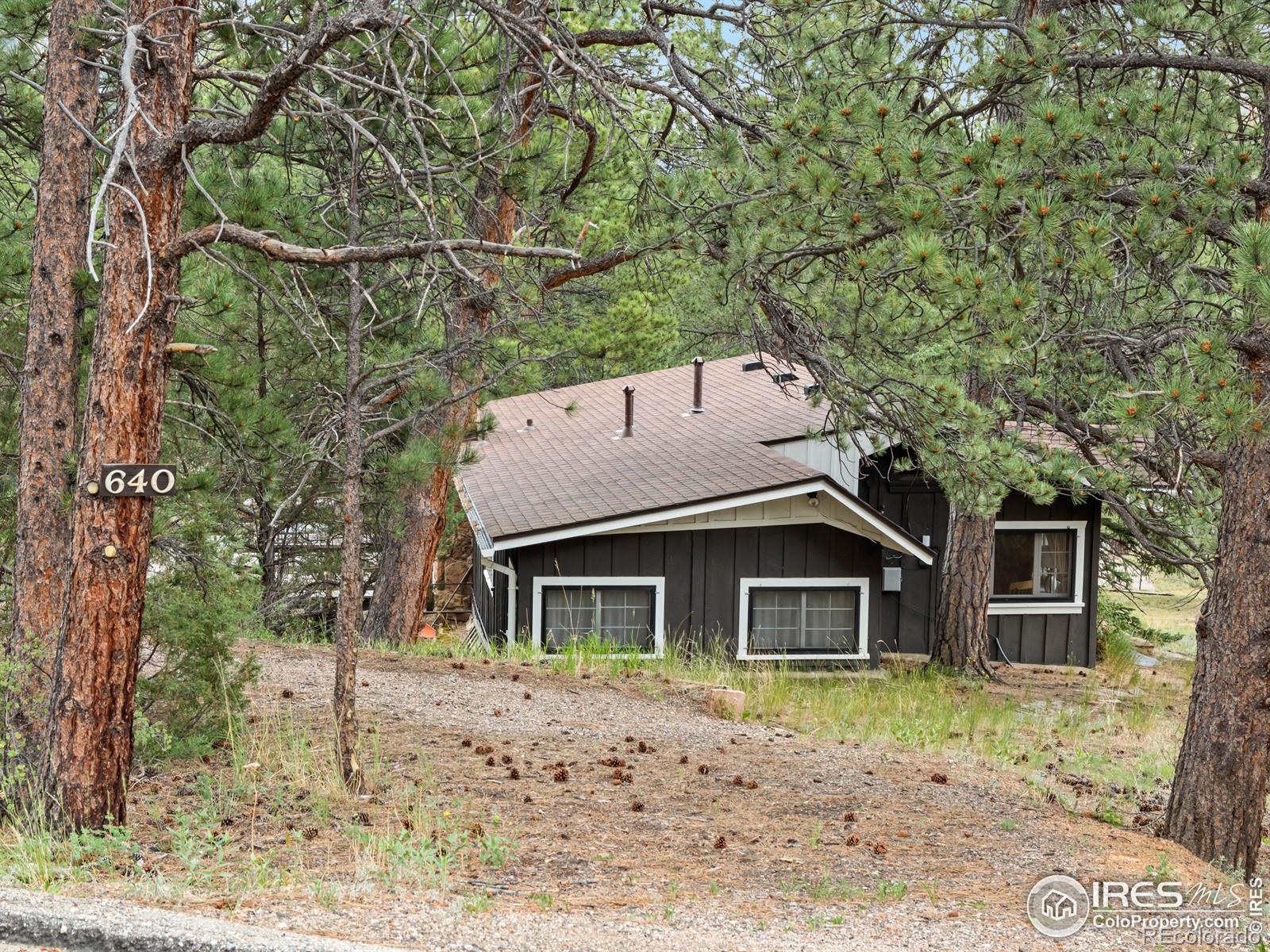 MLS Image #12 for 640  big horn drive,estes park, Colorado