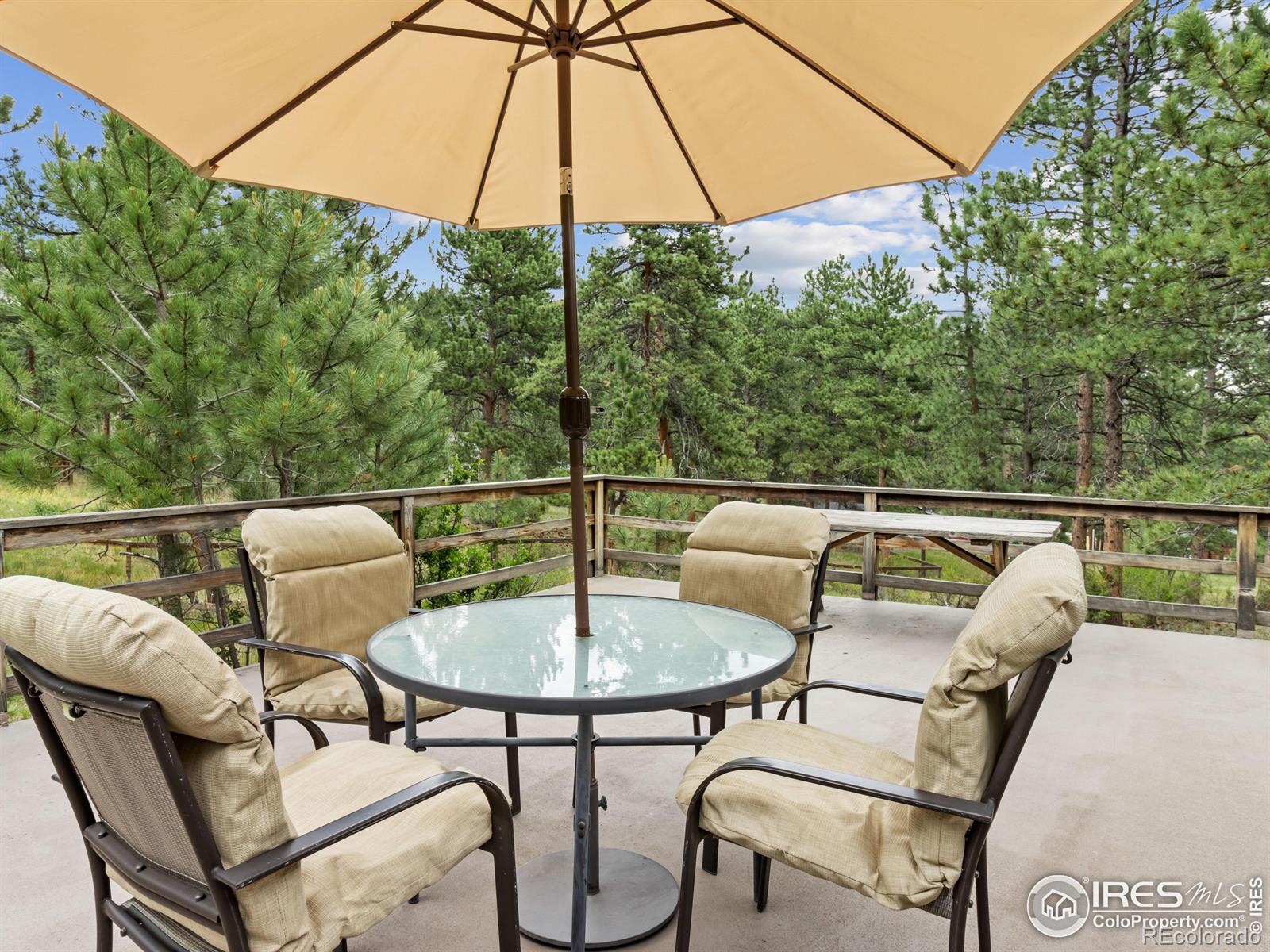 MLS Image #24 for 640  big horn drive,estes park, Colorado