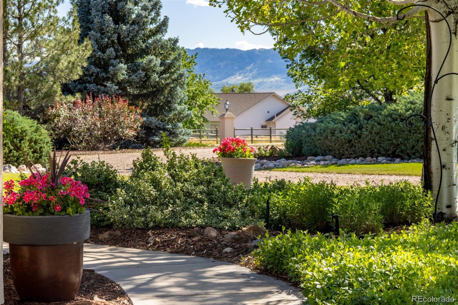 MLS Image #6 for 3940  braidwood drive,fort collins, Colorado