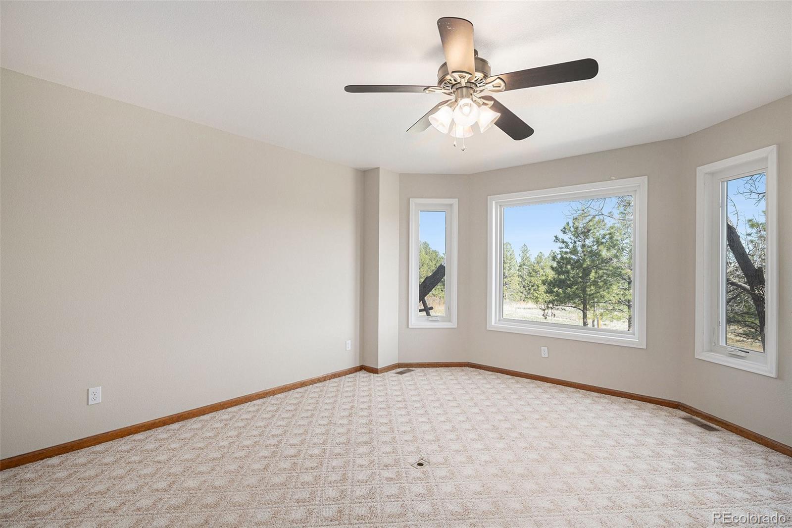 MLS Image #17 for 102  staghorn way,franktown, Colorado