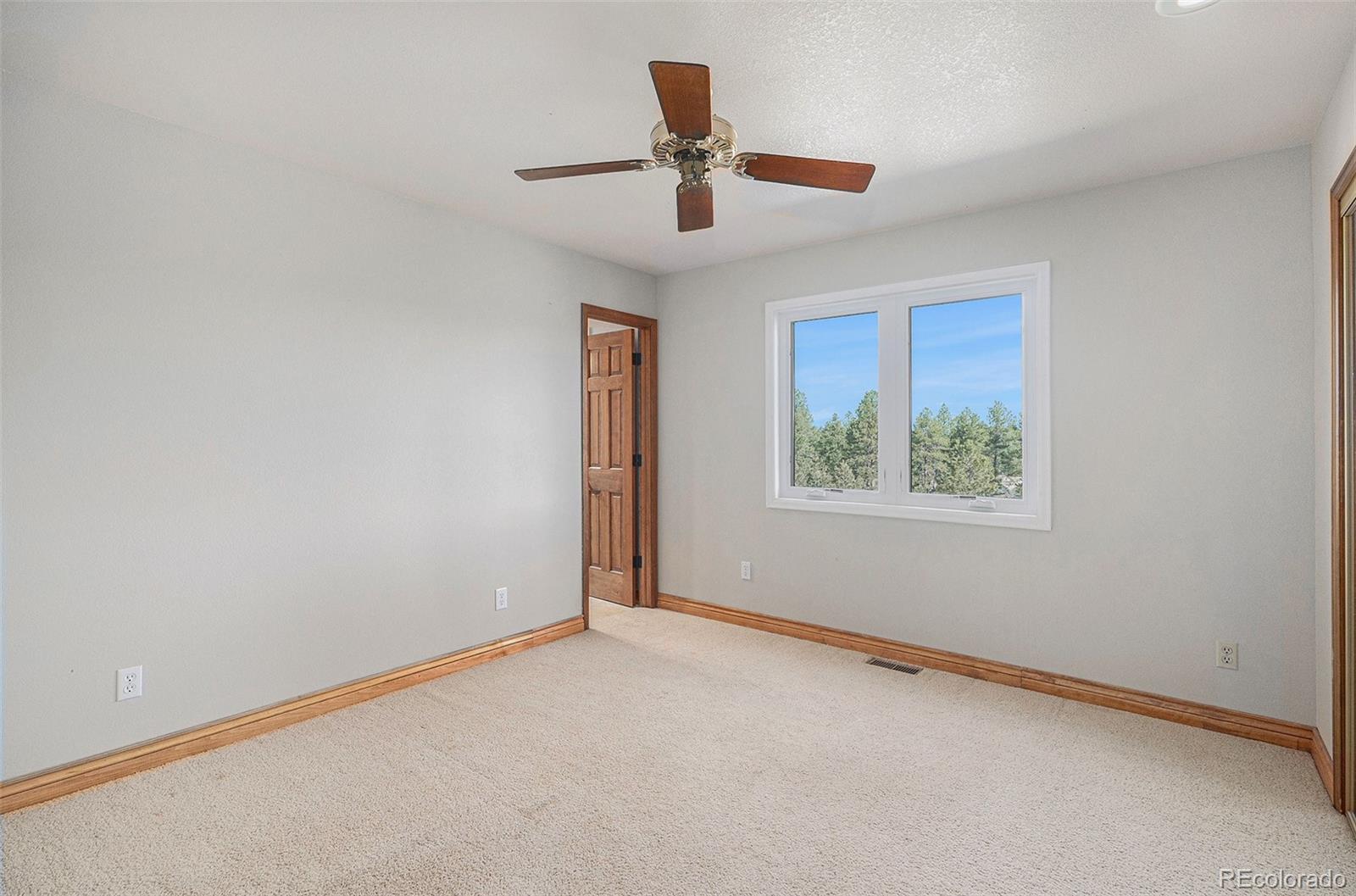 MLS Image #19 for 102  staghorn way,franktown, Colorado