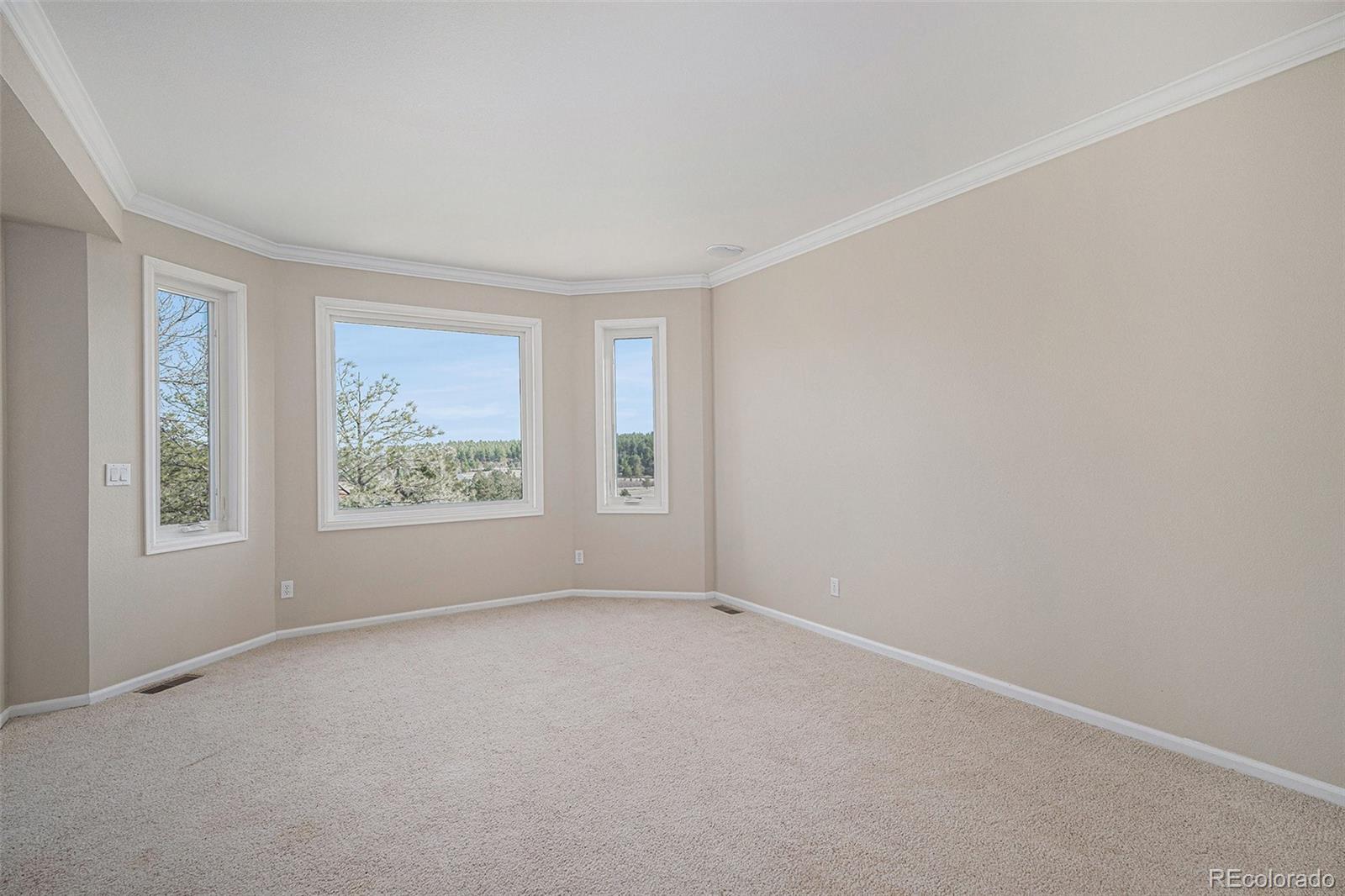 MLS Image #28 for 102  staghorn way,franktown, Colorado
