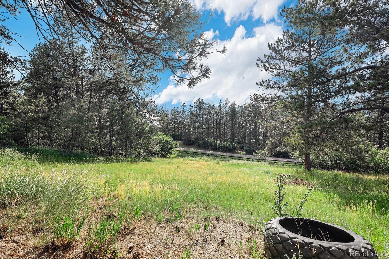 MLS Image #40 for 102  staghorn way,franktown, Colorado