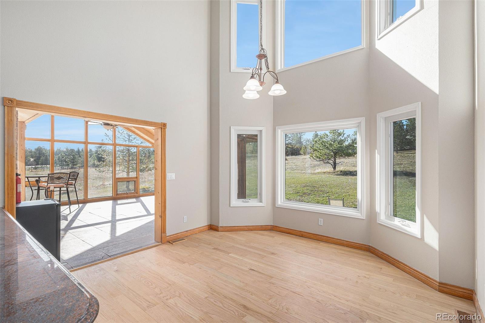 MLS Image #9 for 102  staghorn way,franktown, Colorado