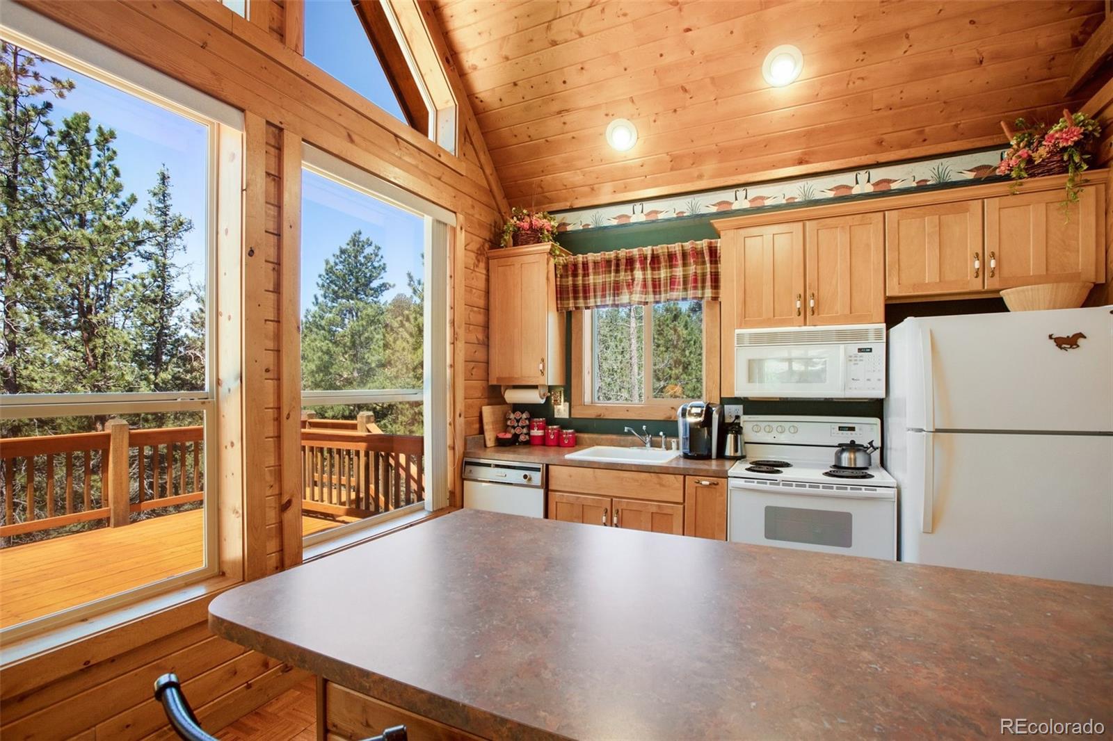 MLS Image #16 for 398  remwood circle,divide, Colorado