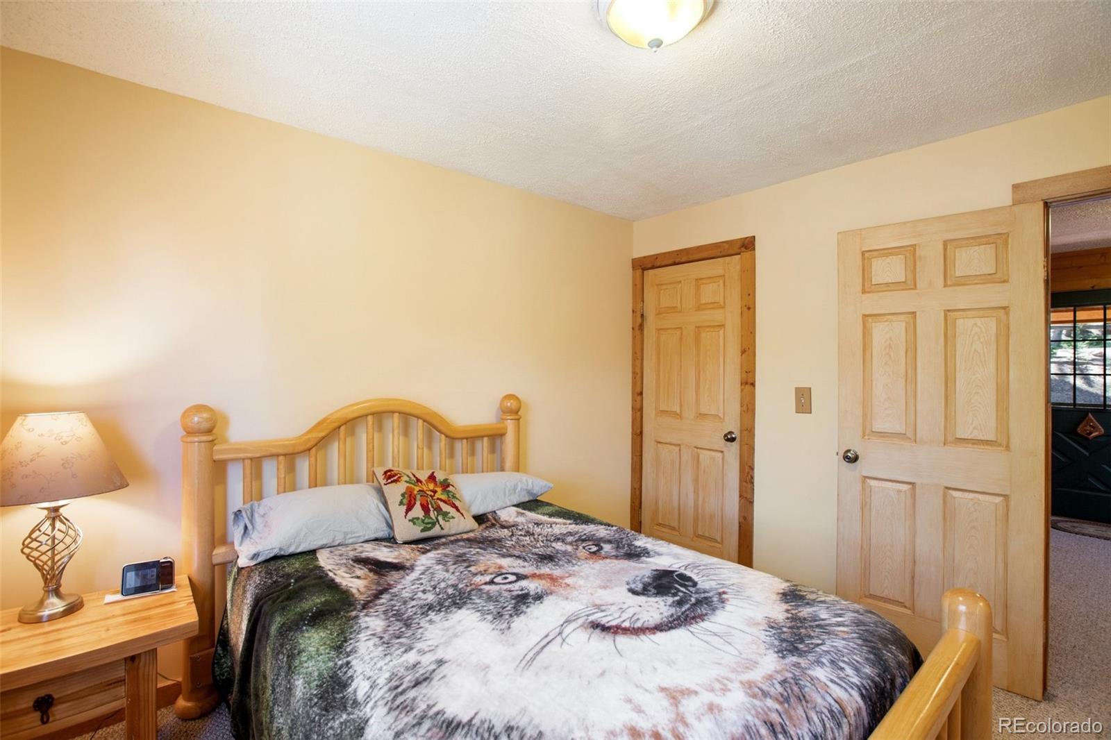 MLS Image #20 for 398  remwood circle,divide, Colorado