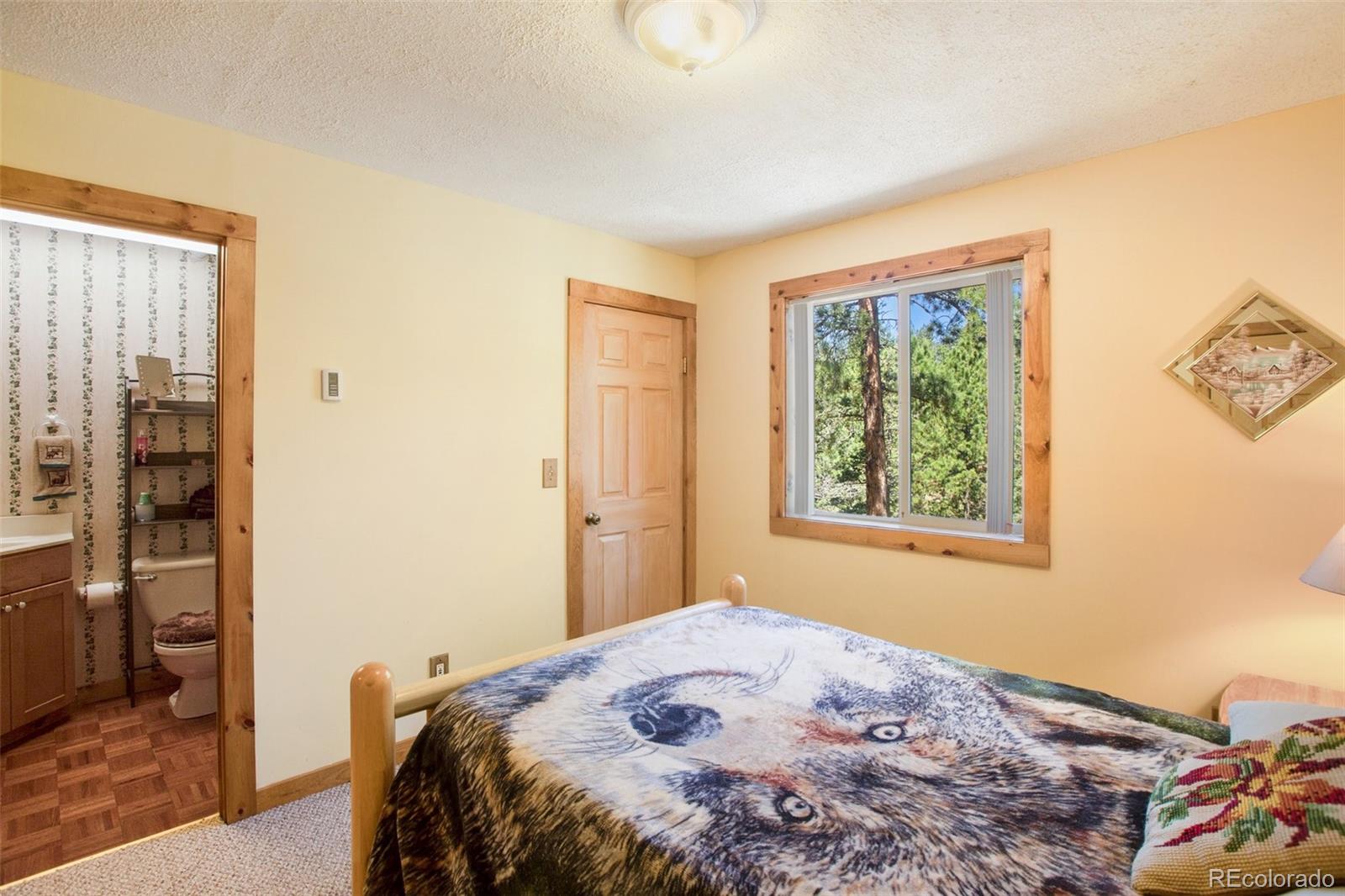 MLS Image #21 for 398  remwood circle,divide, Colorado