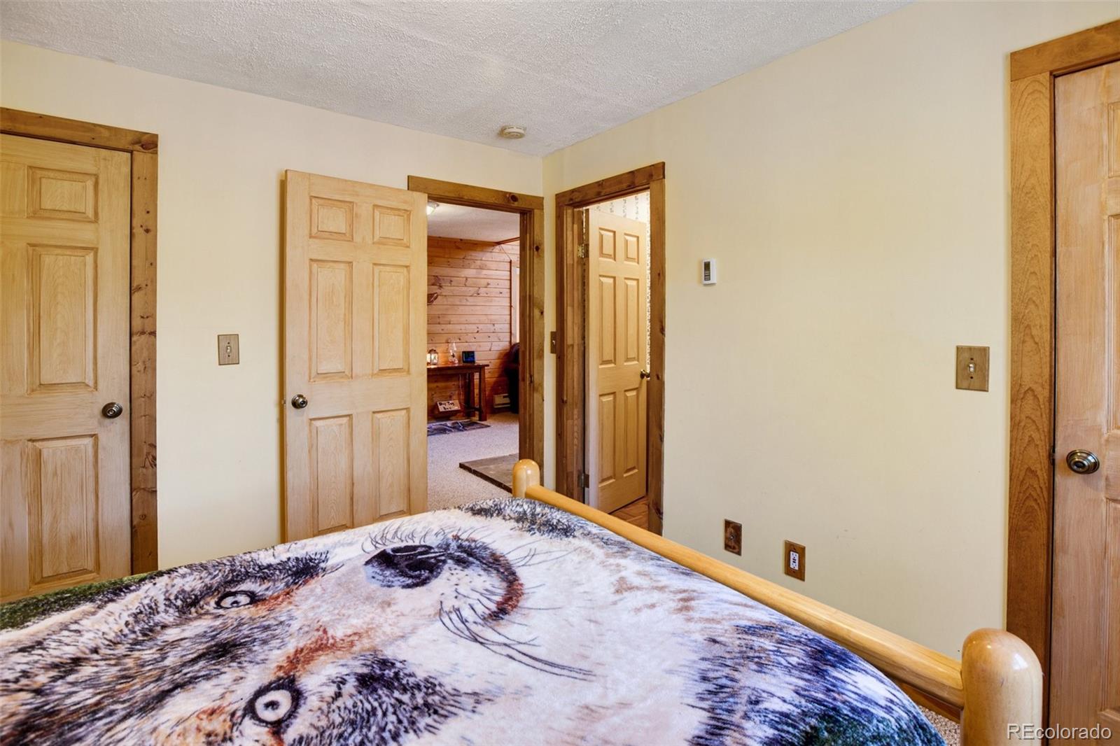 MLS Image #22 for 398  remwood circle,divide, Colorado