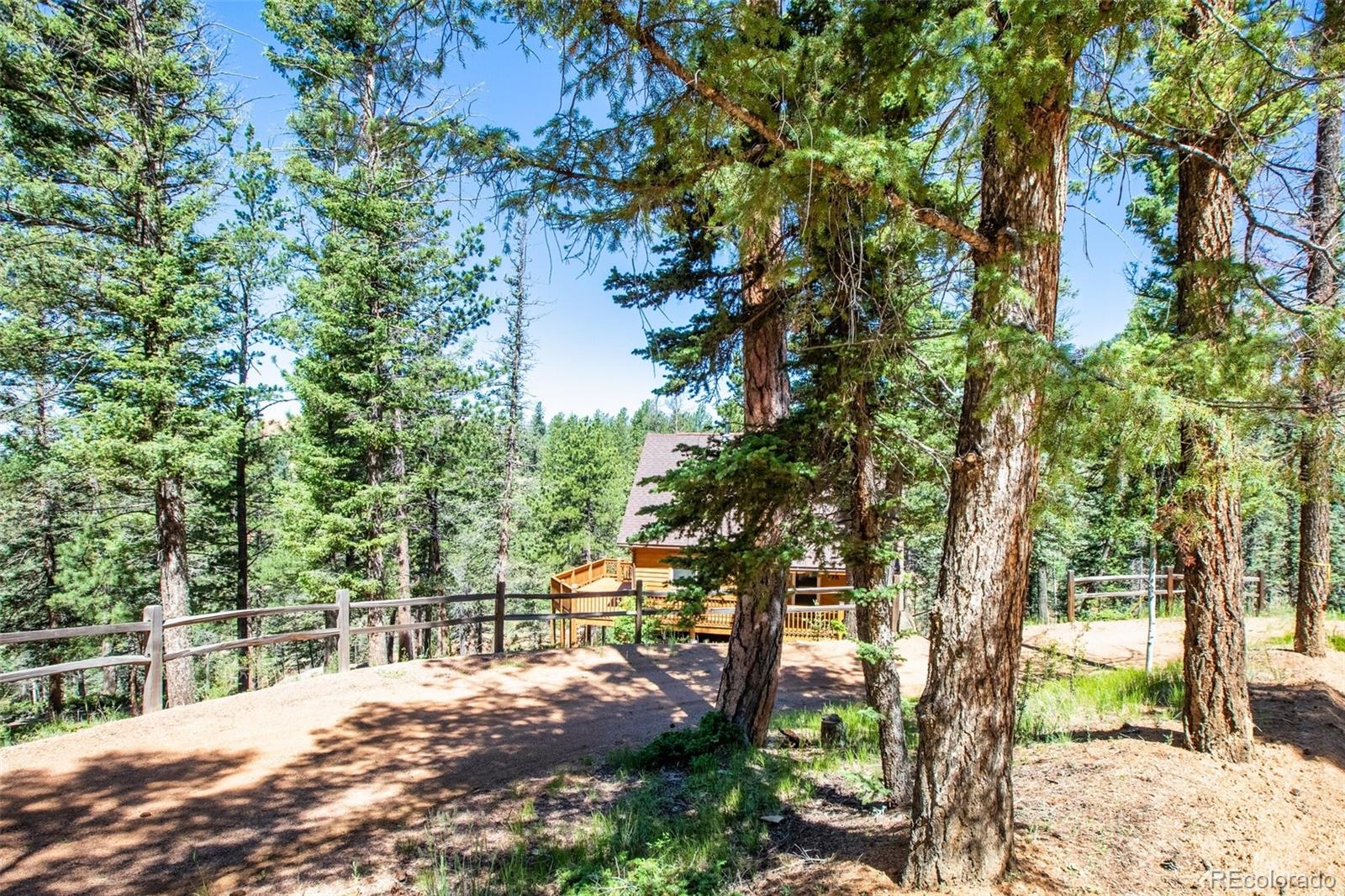 MLS Image #37 for 398  remwood circle,divide, Colorado