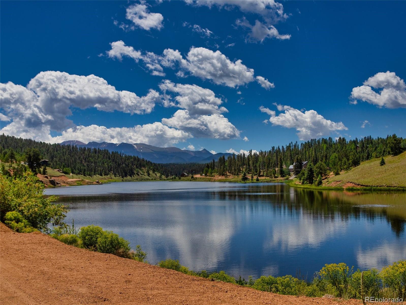 MLS Image #40 for 398  remwood circle,divide, Colorado