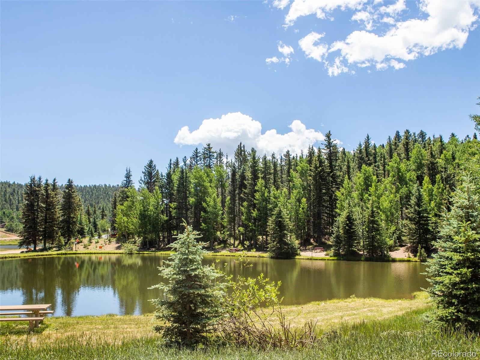 MLS Image #45 for 398  remwood circle,divide, Colorado