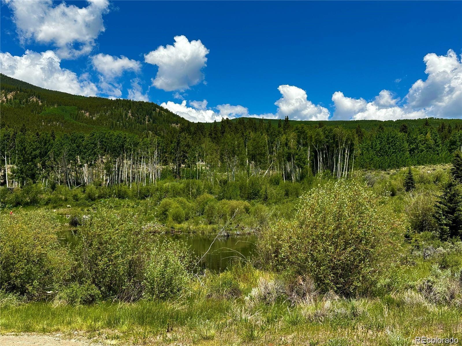 MLS Image #43 for 48  lang street,twin lakes, Colorado