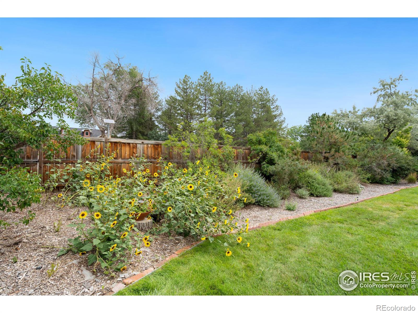 MLS Image #30 for 804  alyson drive,fort collins, Colorado