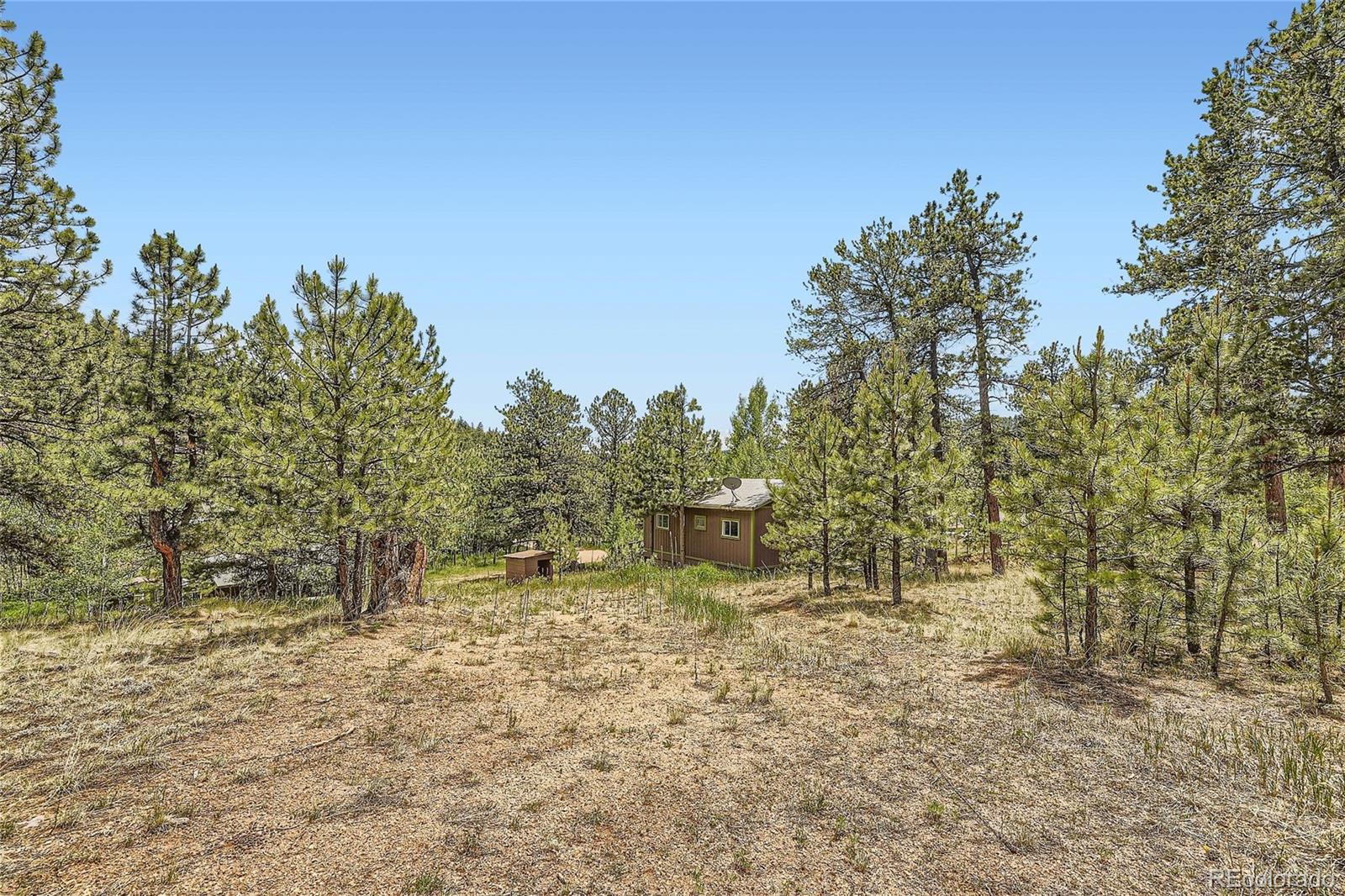 MLS Image #21 for 539  neal road,bailey, Colorado