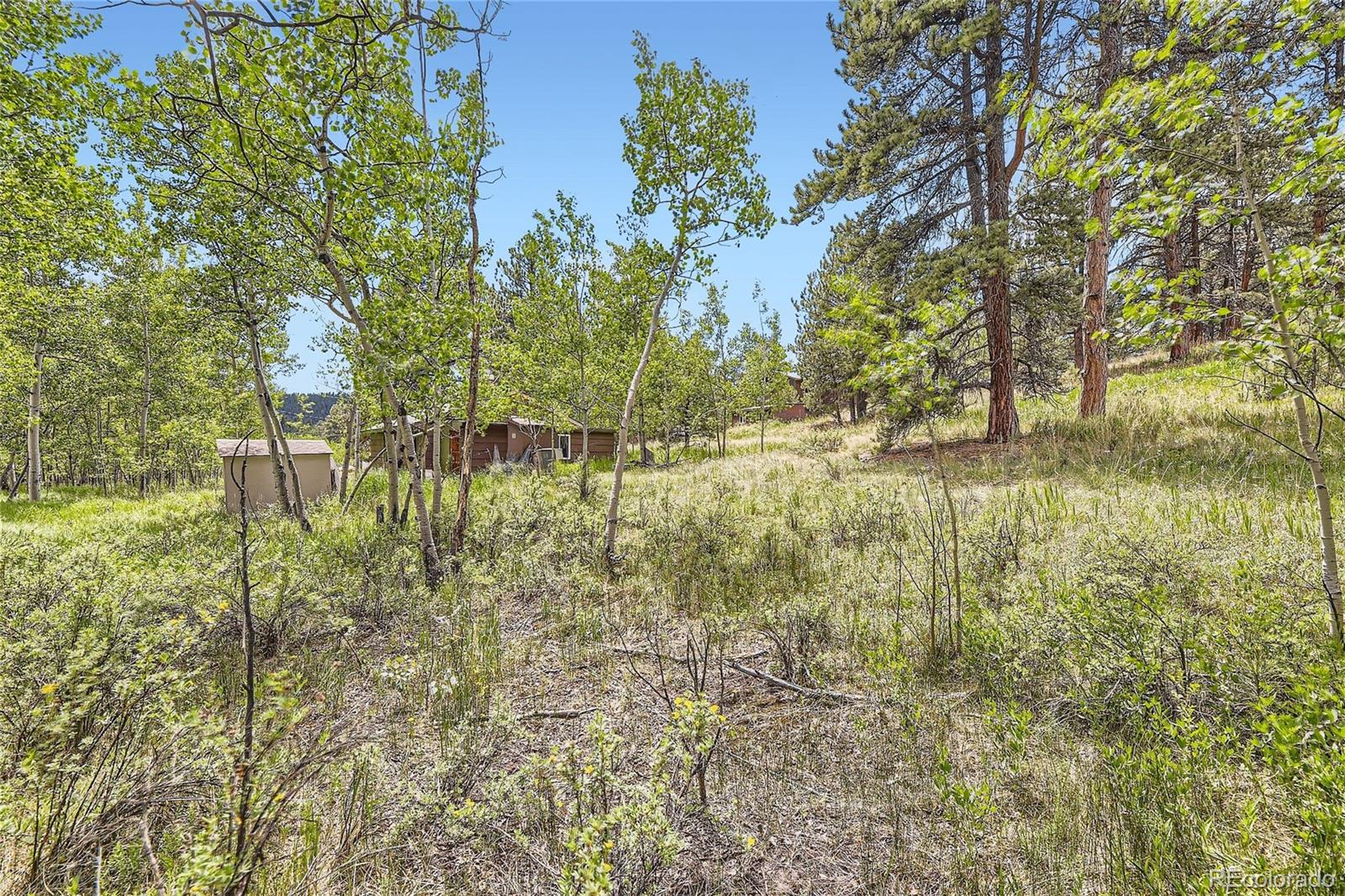 MLS Image #24 for 539  neal road,bailey, Colorado