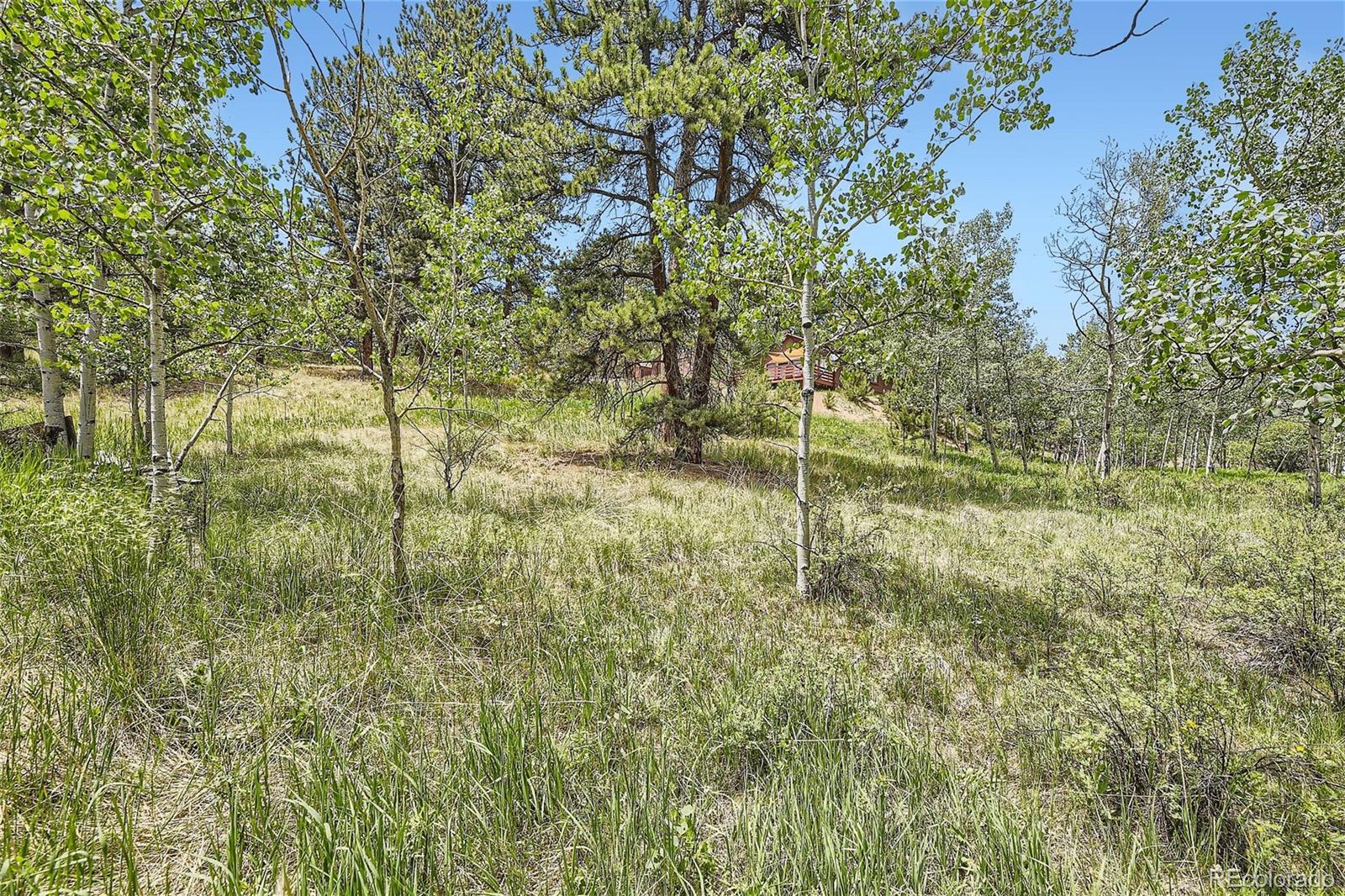 MLS Image #25 for 539  neal road,bailey, Colorado