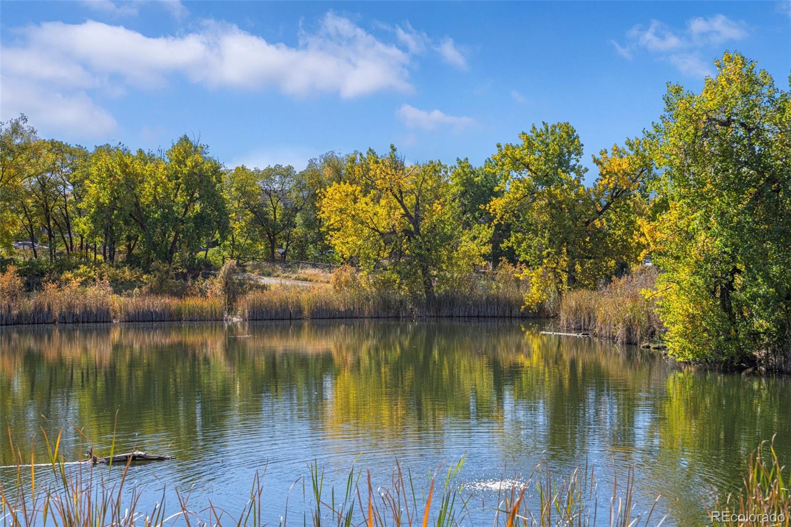 MLS Image #47 for 10981  yates drive,westminster, Colorado