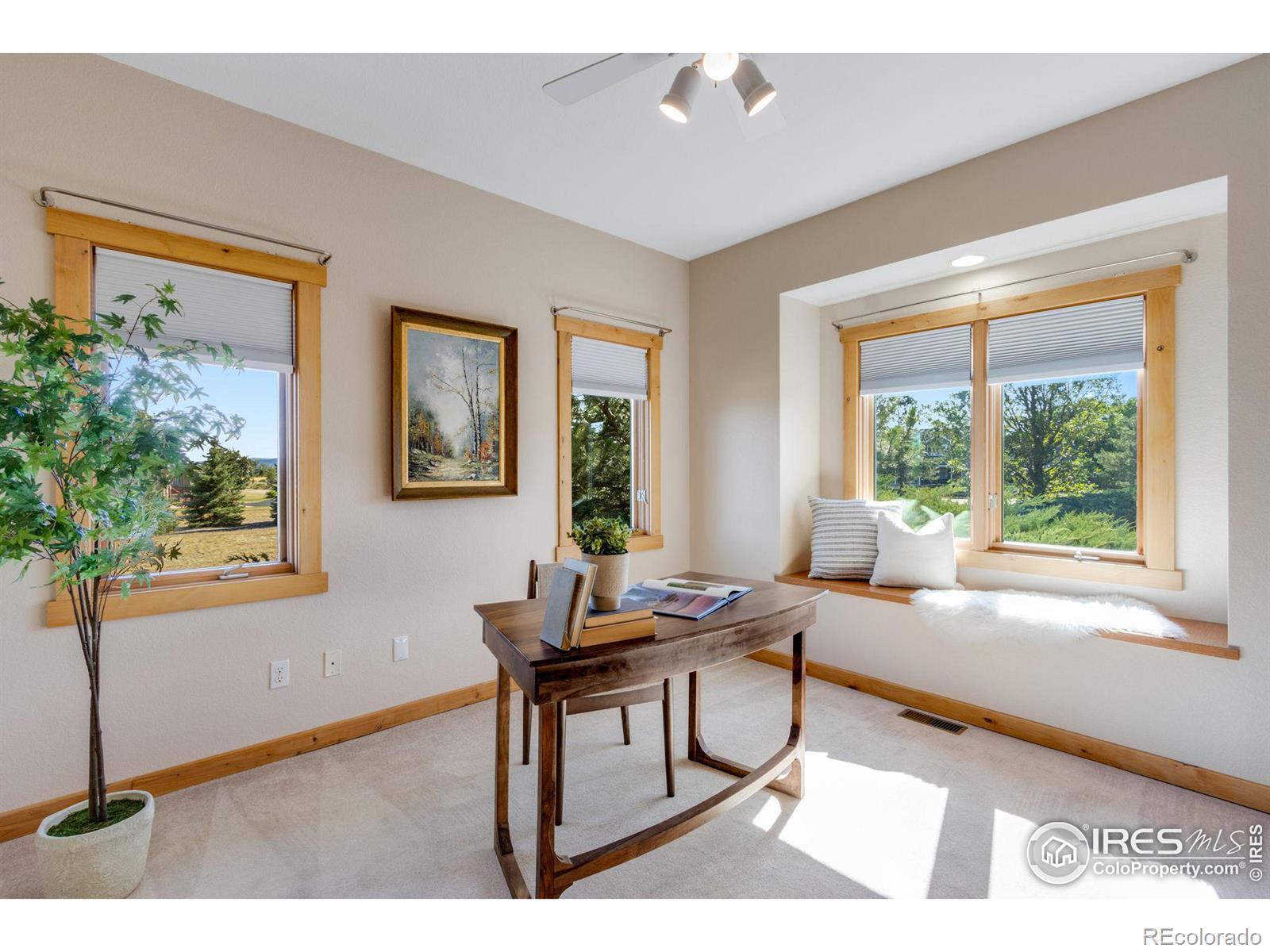 MLS Image #10 for 3940  braidwood drive,fort collins, Colorado