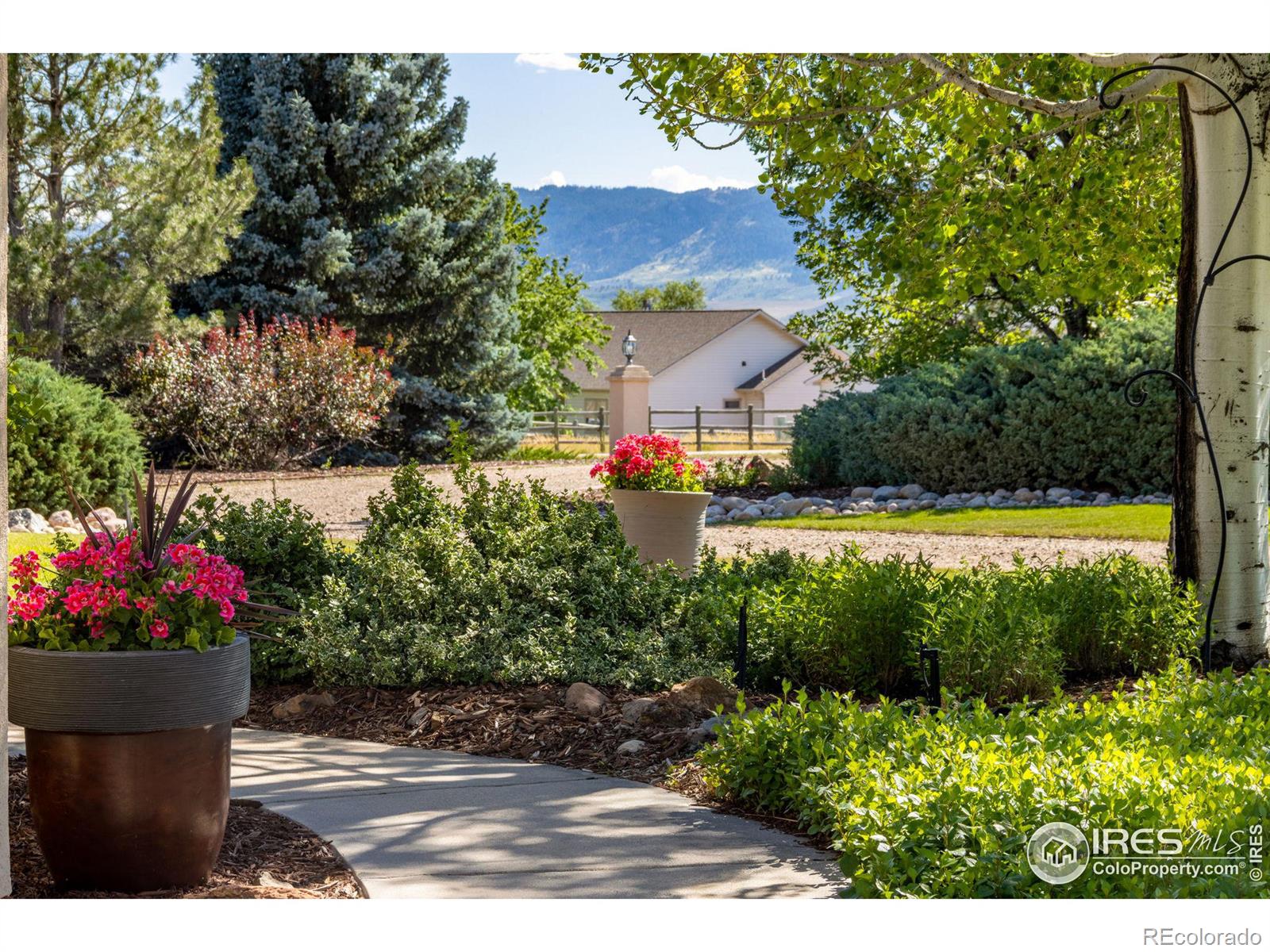 MLS Image #6 for 3940  braidwood drive,fort collins, Colorado