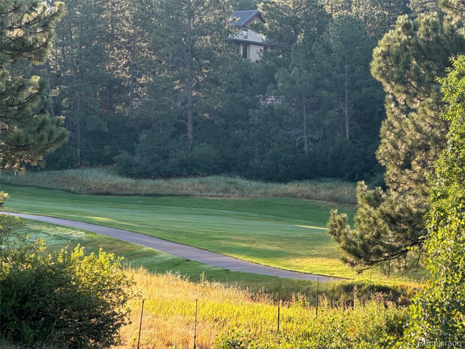 MLS Image #26 for 3130  ramshorn drive,castle rock, Colorado