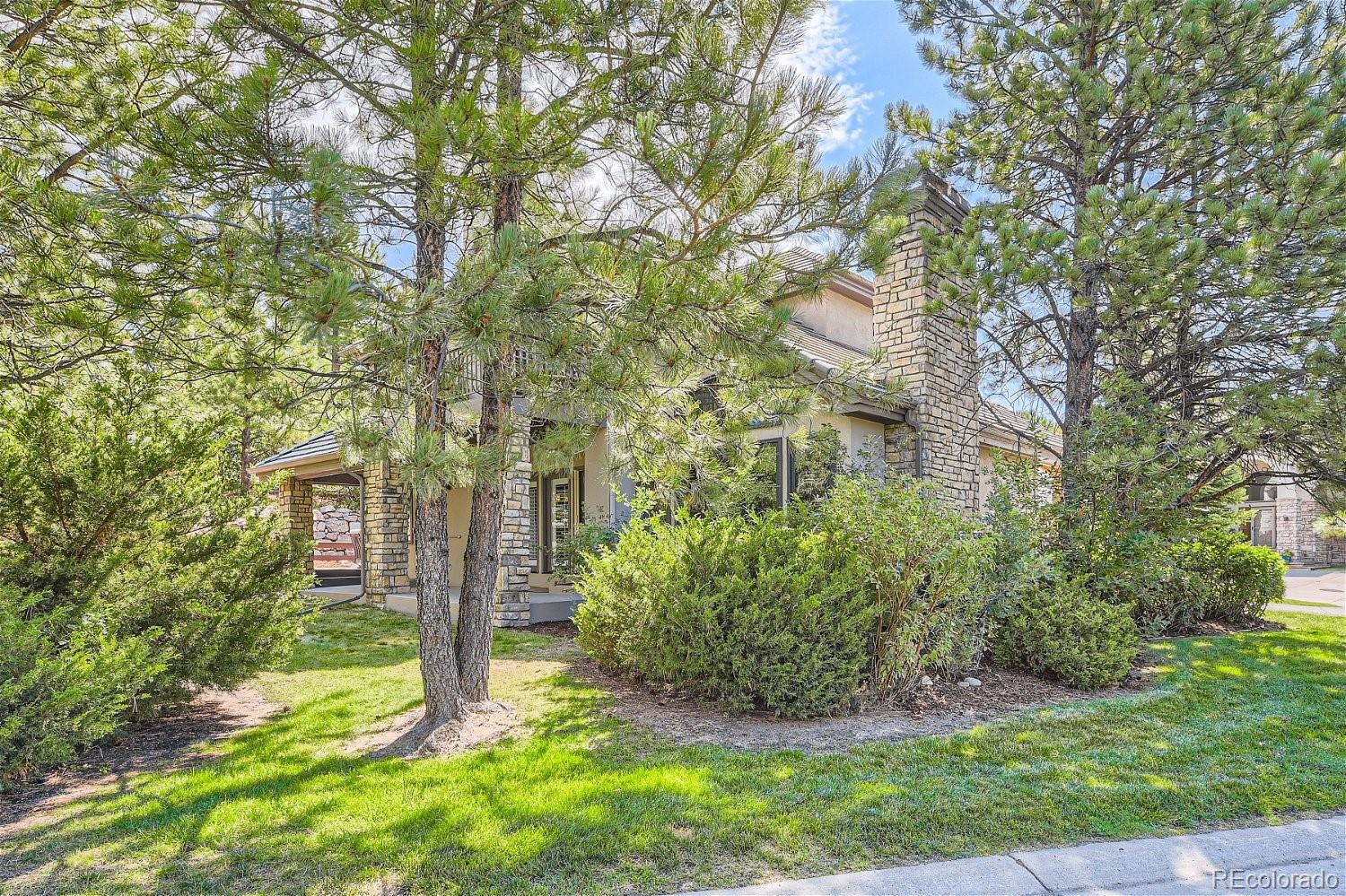 MLS Image #43 for 3130  ramshorn drive,castle rock, Colorado