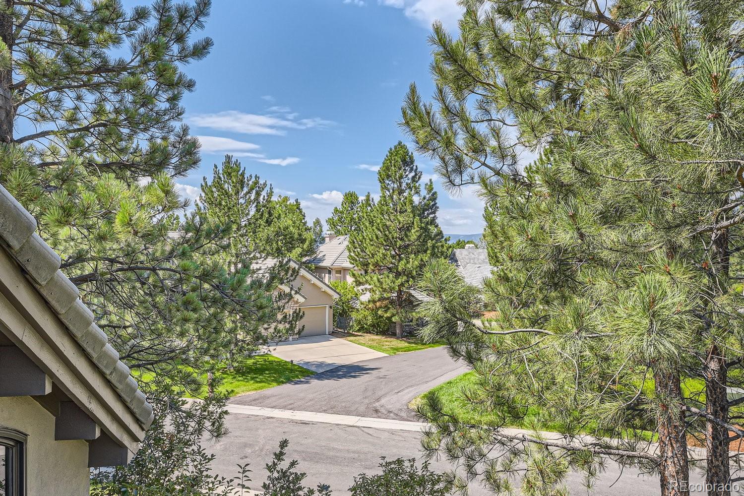 MLS Image #45 for 3130  ramshorn drive,castle rock, Colorado