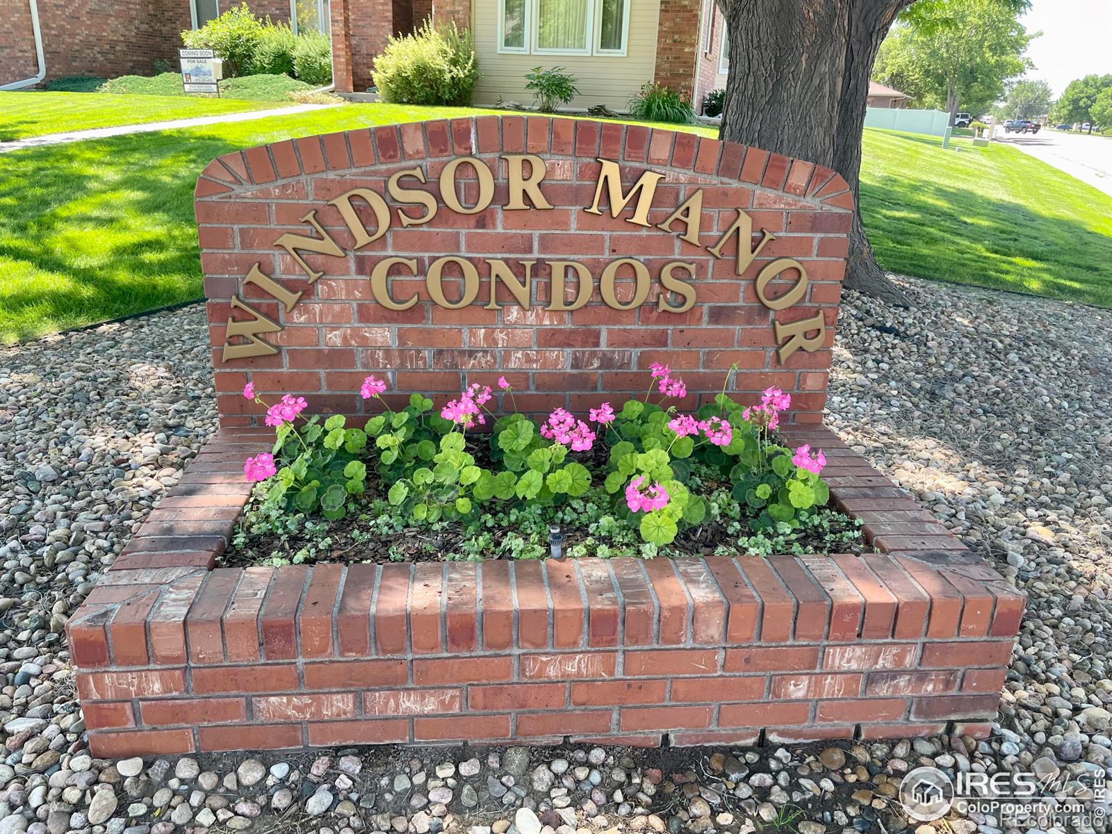 MLS Image #1 for 1265  honeysuckle court,windsor, Colorado