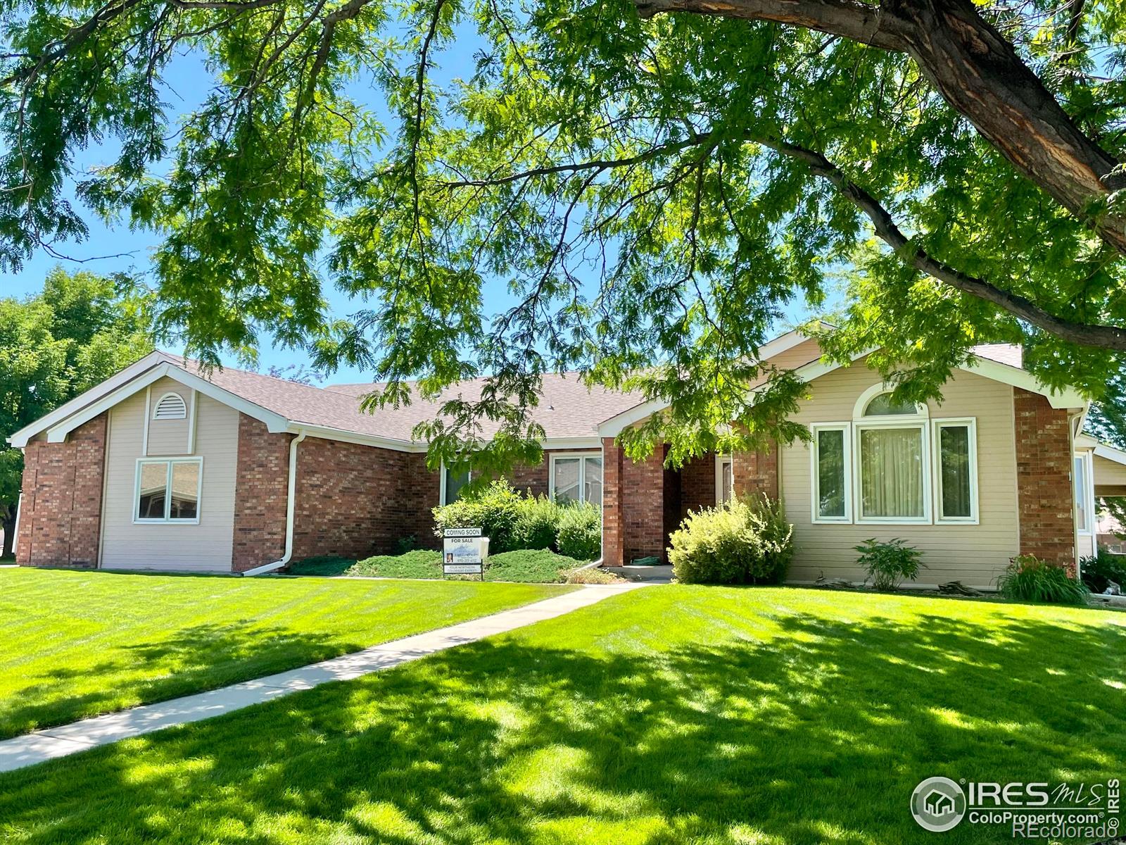 MLS Image #3 for 1265  honeysuckle court,windsor, Colorado