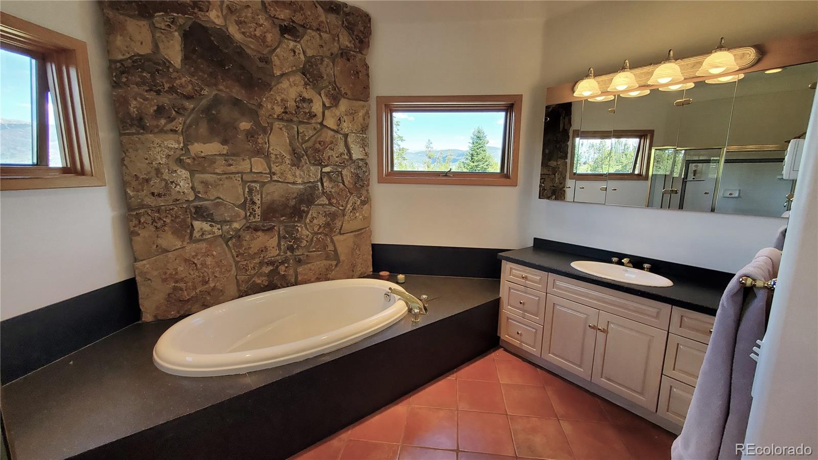 MLS Image #27 for 1228  emerald road,silverthorne, Colorado