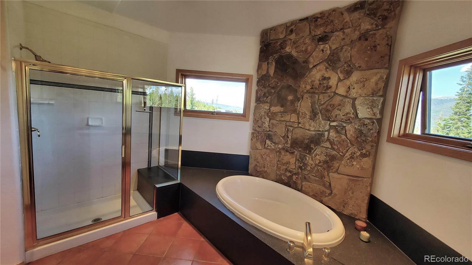 MLS Image #28 for 1228  emerald road,silverthorne, Colorado