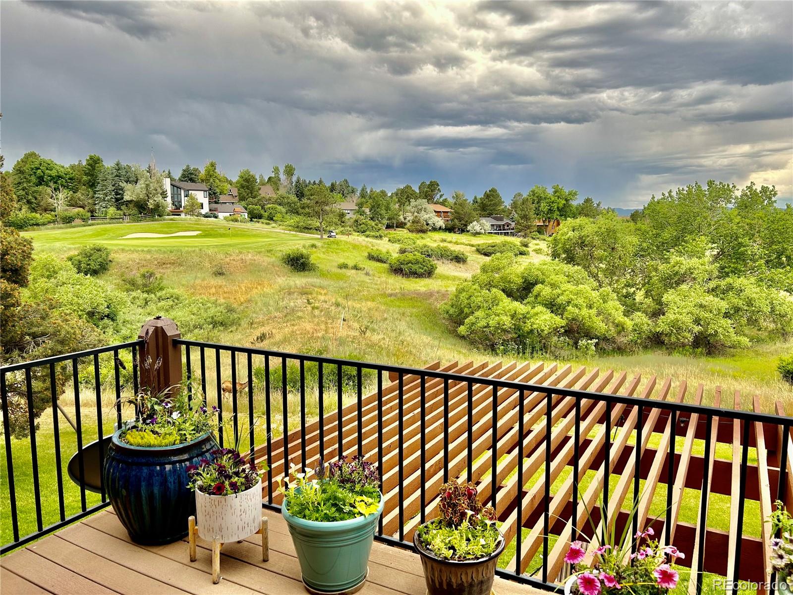 MLS Image #23 for 7782  windwood way,parker, Colorado