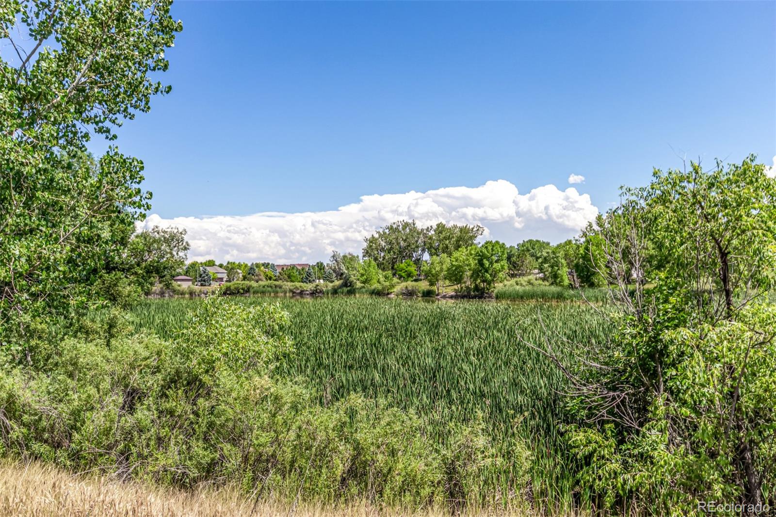 MLS Image #27 for 2705  bryant drive,broomfield, Colorado