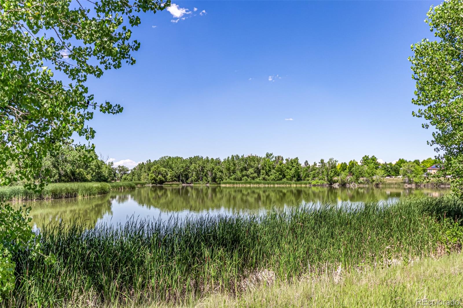 MLS Image #28 for 2705  bryant drive,broomfield, Colorado