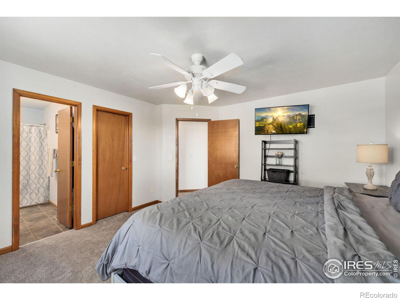 MLS Image #10 for 1131  norma court,milliken, Colorado