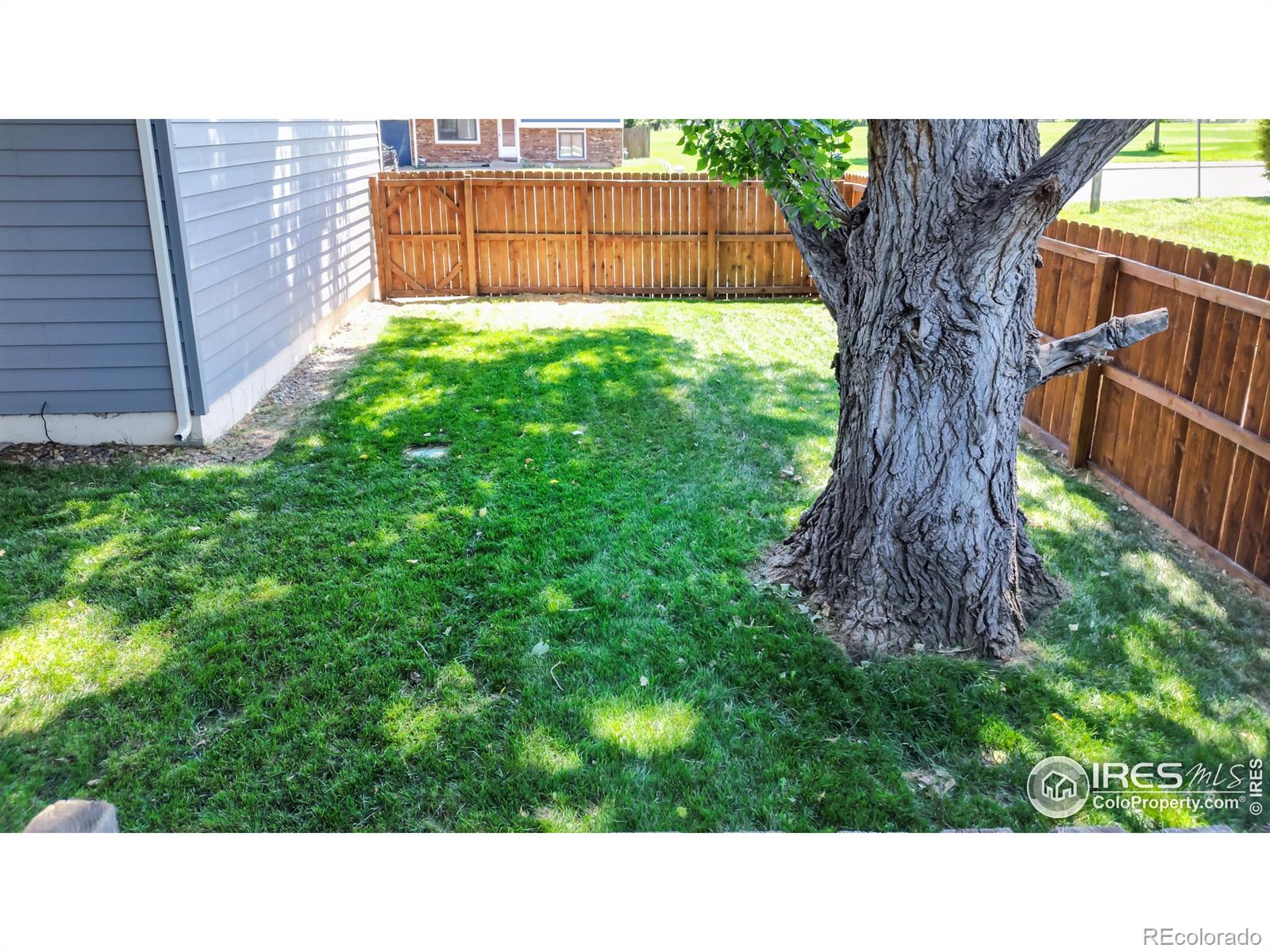 MLS Image #24 for 530  wabash street,fort collins, Colorado