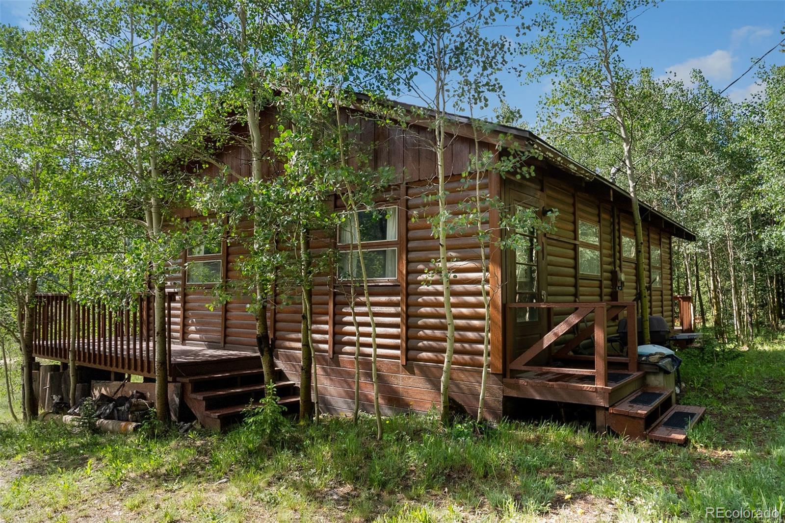 MLS Image #0 for 2895  river drive,alma, Colorado