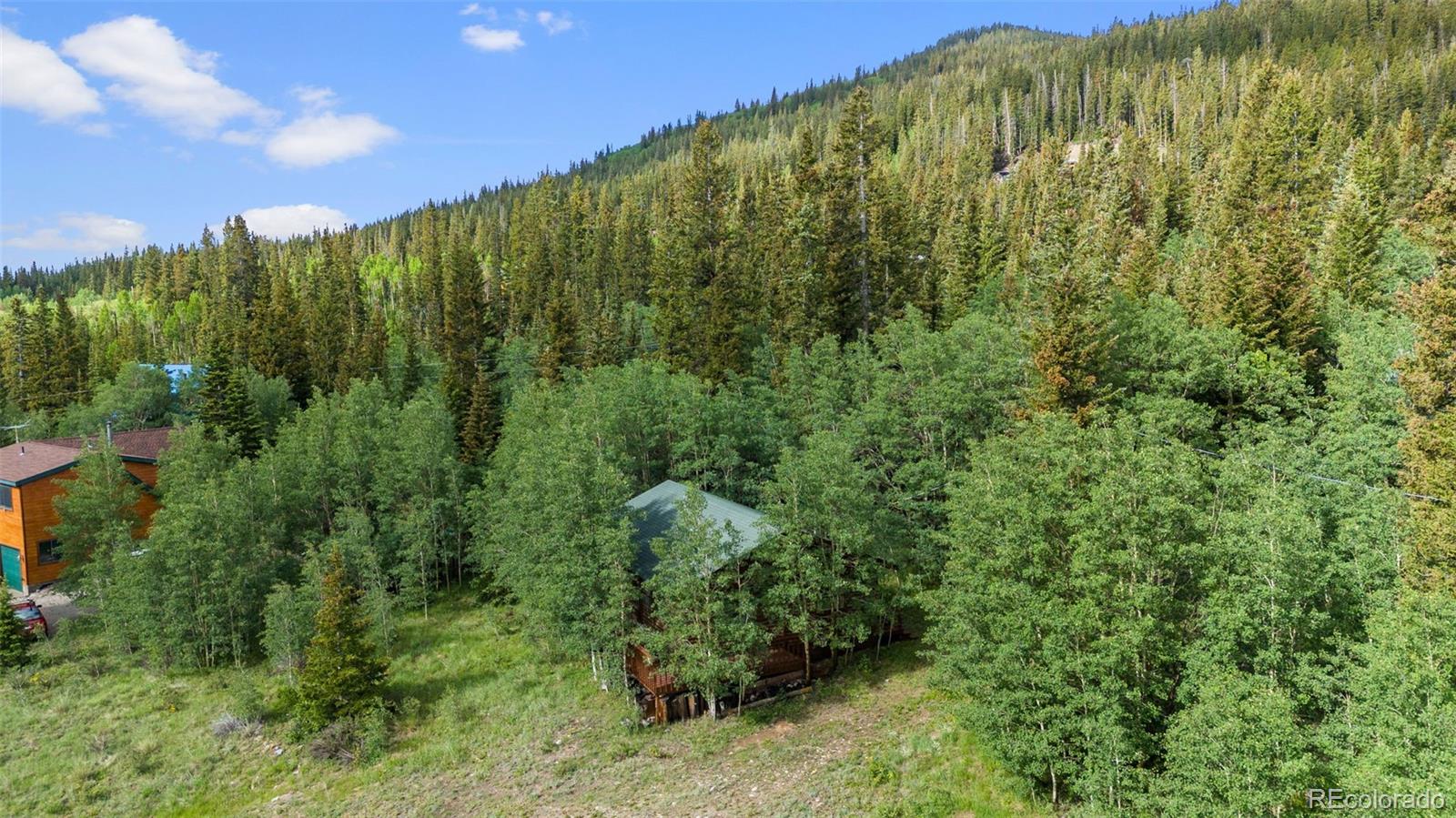 MLS Image #1 for 2895  river drive,alma, Colorado